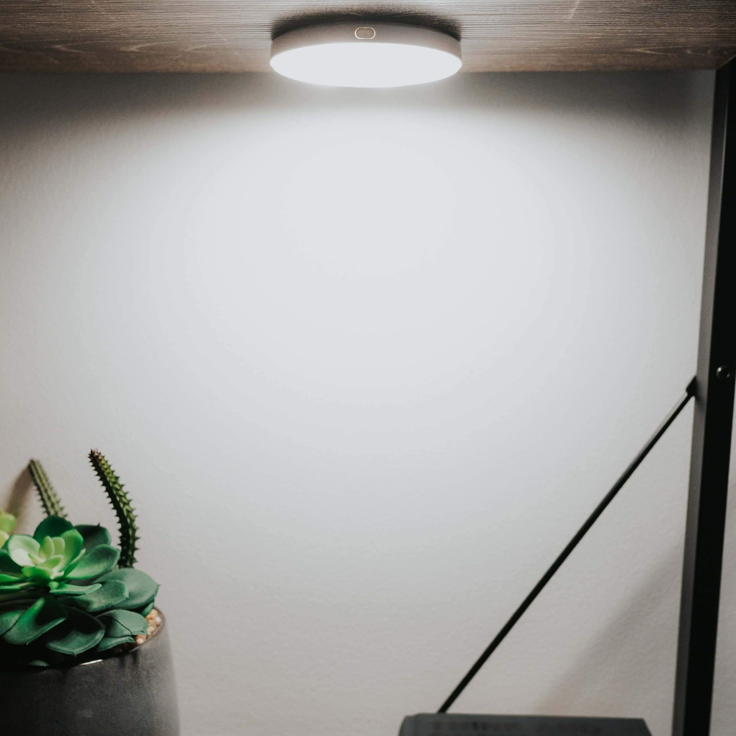 illuminateHalo®