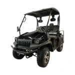 Bighorn Homestead 200 HLG UTV, 4 Passenger, Black