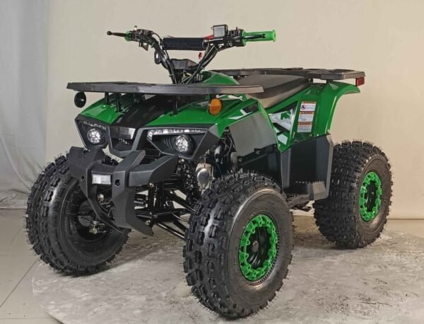 AYW-003.1-600x458-1.jpg 125cc Youth ATV 4-stroke 1-cylinder JUST ARRIVED 2025 - Image 1