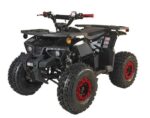 125cc Youth ATV 4-stroke 1-cylinder JUST ARRIVED 2025 - Image 2