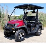 New 4 Seater Electric Recreational Vehicle HJS 60V EV5 – 5.5 HP BLDC Motor, Fully Assembled & Tested – Red